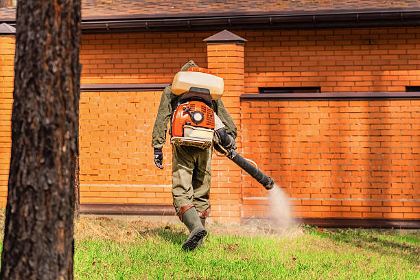 Trusted Emergency Pest Control service in Hollister, MO - Nex Pest Control